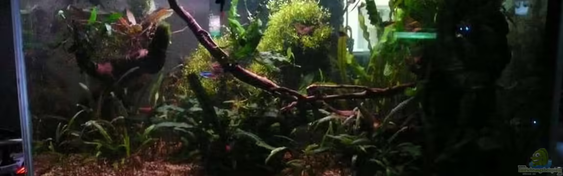 85 Liter von Dana