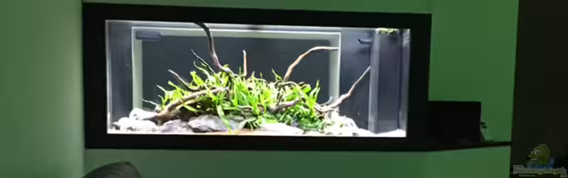 Aquarium Projekt von Der Schreiner