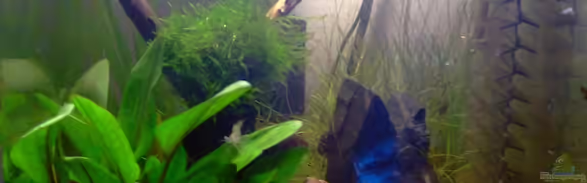 Becken 17573 von gomtuu