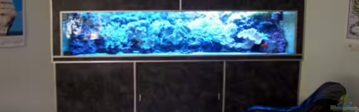 Becken 2922 von Andreas Grycko