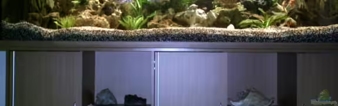 Becken 2989 von Tobias Bernotat