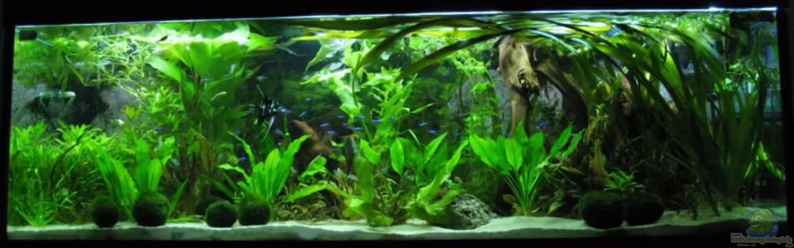 Becken 341 von Marcus.H