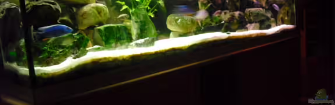 Becken 4607 von FischfanAQ