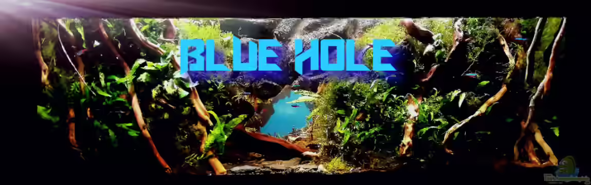 Blue Hole von Bermuda 3eck