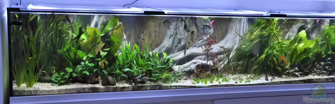 Büro 290 von Chris64