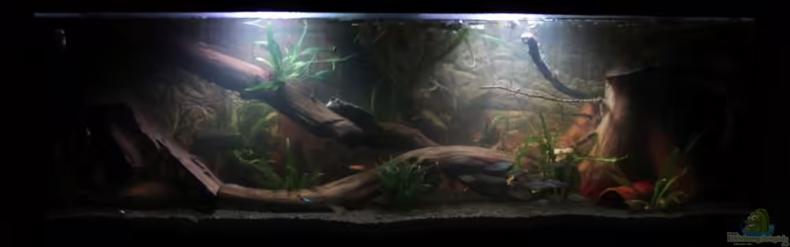 Deep Amazonas von SouthAmerica