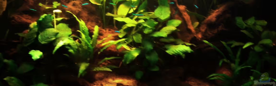 Des Neons feuchter Traum von Grek77