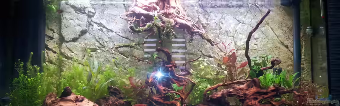 Fluval Vicenza 260 von Gokel79