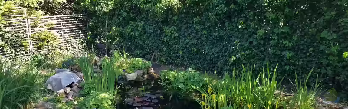 Gartenteich Werneke von Smo
