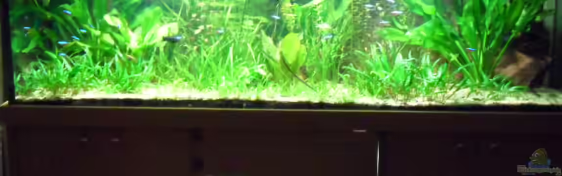 Görlitzer Wasser von kleines becken