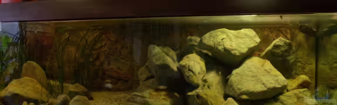 Great Rift - nur noch Beispiel von Didi