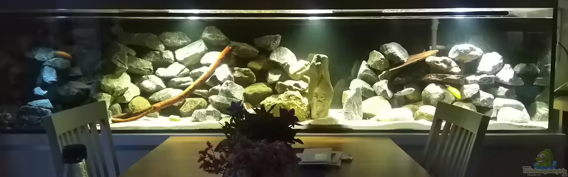 Küchenfische von Raid_0