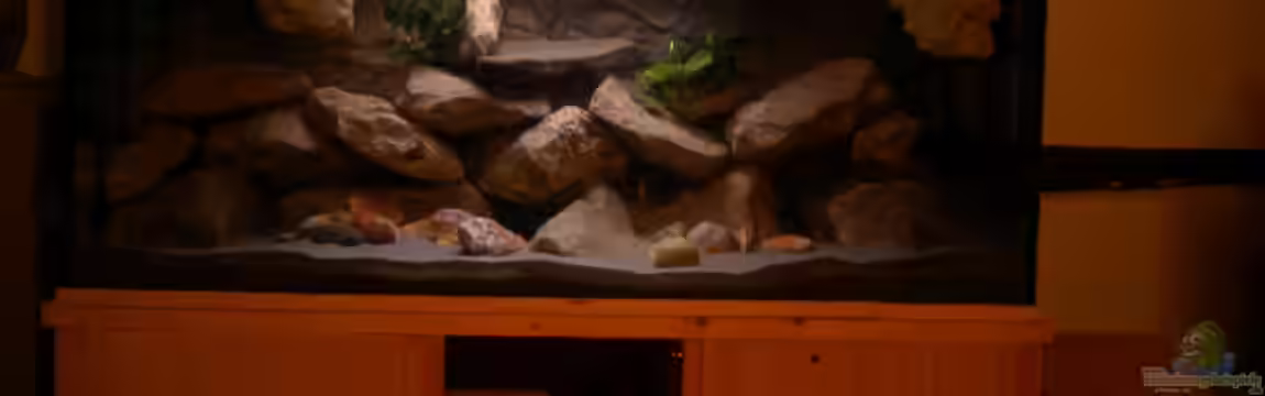Labido´s Tank von Herki