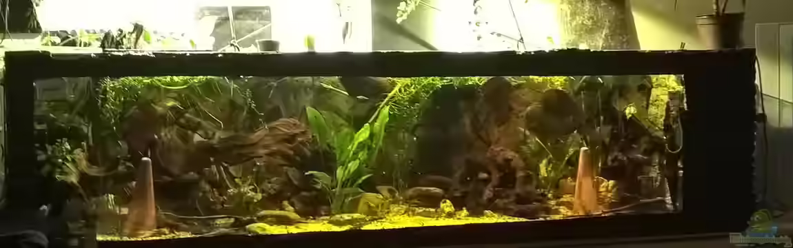 Lars 900l von Lars 300l 1.