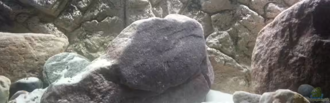 MALAWI von Simtalus