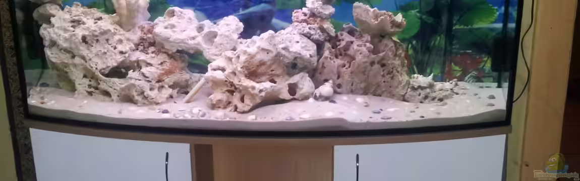 Meerwasser fake von Nicolino