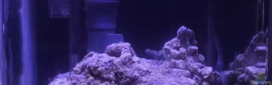 Meerwasser Nano Cube von chrisi01