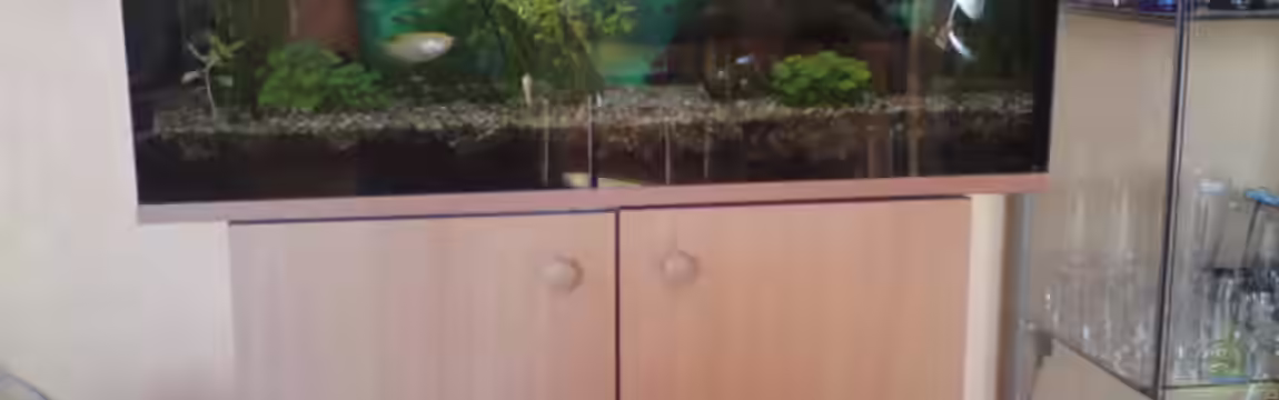 Mein 112 Liter Becken von Körbchen84