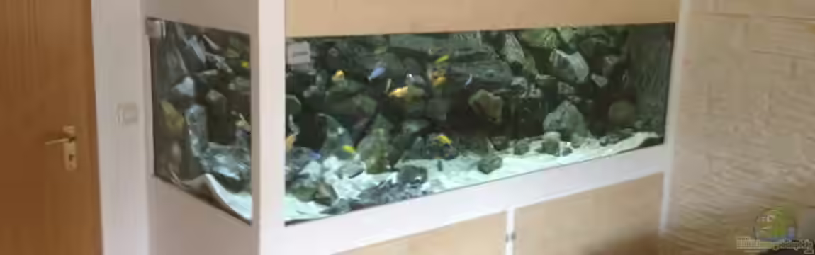 "Mpanga Rocks" Nur noch als Beispiel von Wimmer Jürgen
