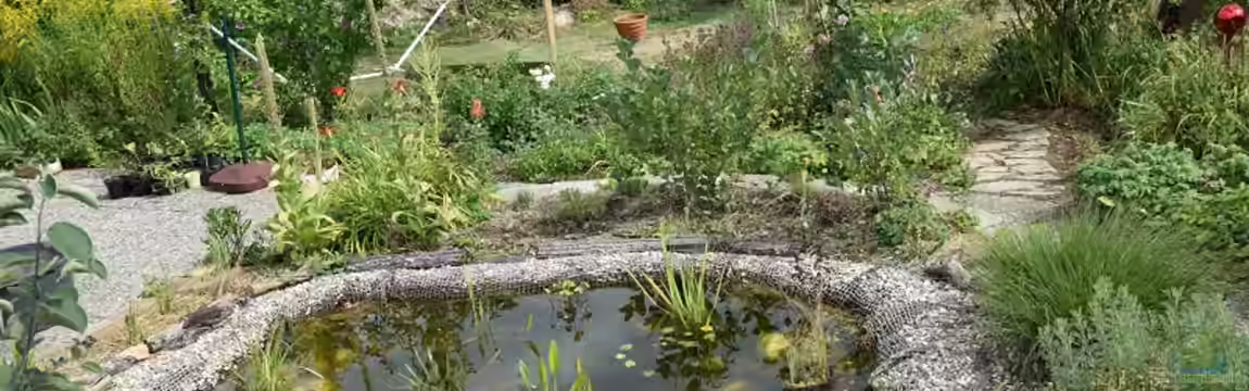 Naturnaher Gartenteich von Acki50