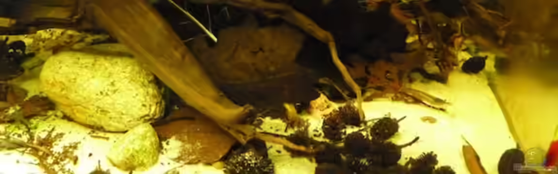 Neon Biotope and tourists von dave88