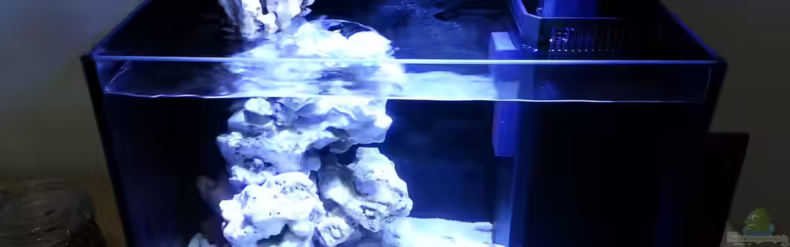 neues Projekt...Nano Reef von Jens Kändler