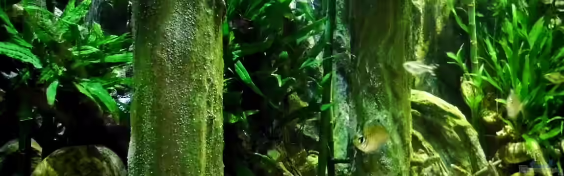 New Underwater World von snooze