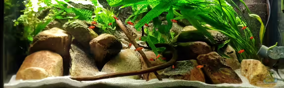 Oh, wie schön ist Panama von naturalR