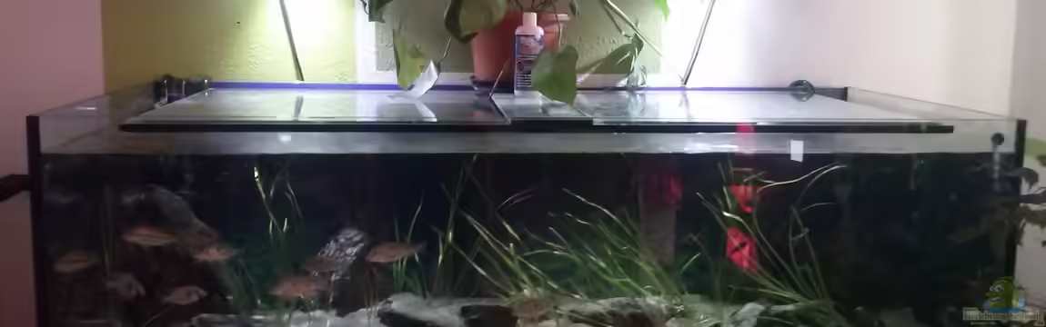 Otopharynx fast wie zu Hause von MikeM.
