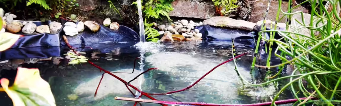 Outdooraquaristik Teich von David Schneider Aquaristik