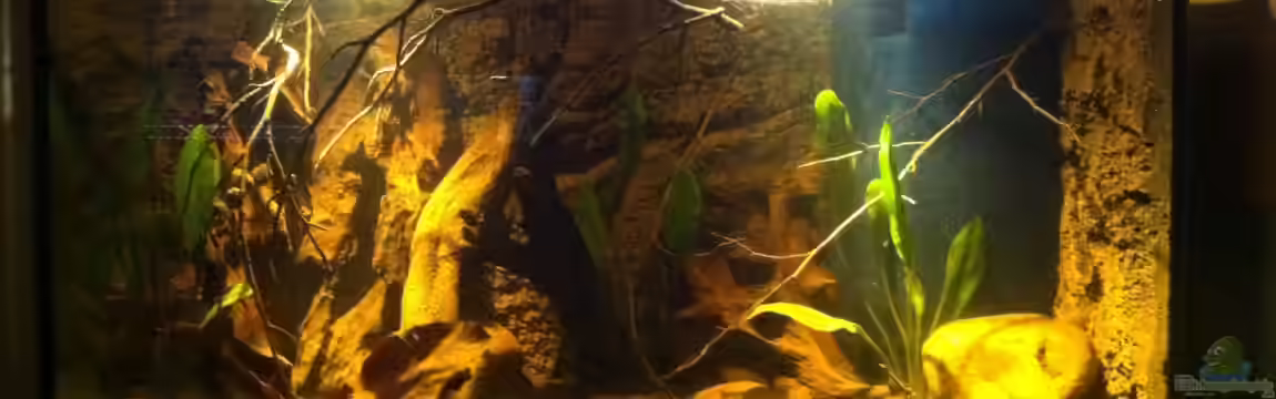Rio Orinoco von Exotist