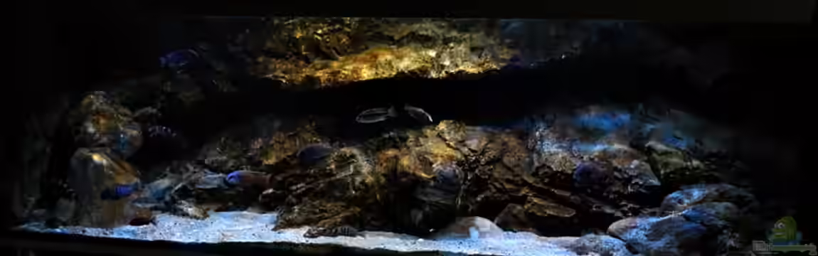 Rockzolid Cave (Aufgelöst) von marxbre