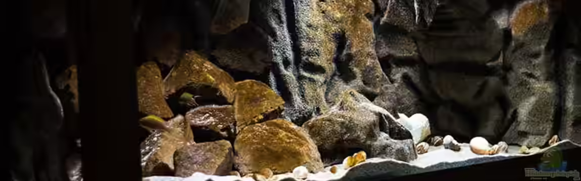 SandStorm - Tanga "Cave" von AjakAndi