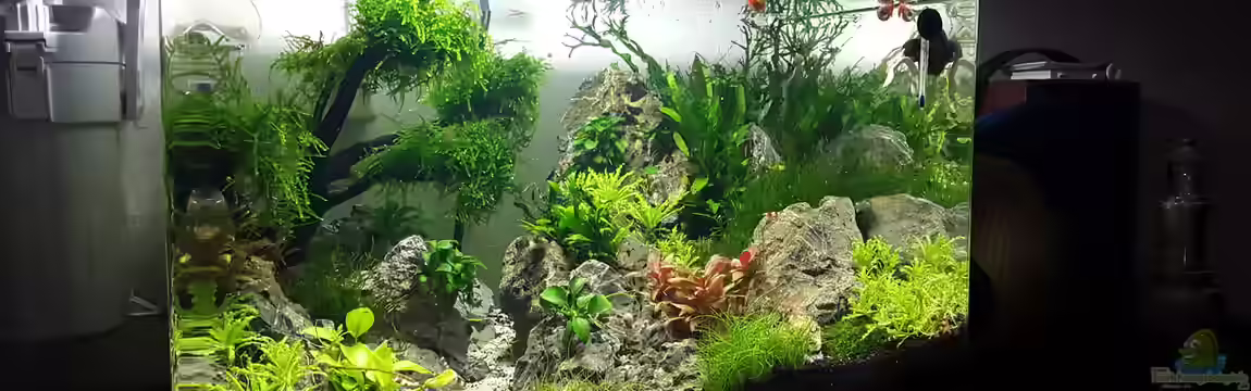 Scapers Tank von Roborow