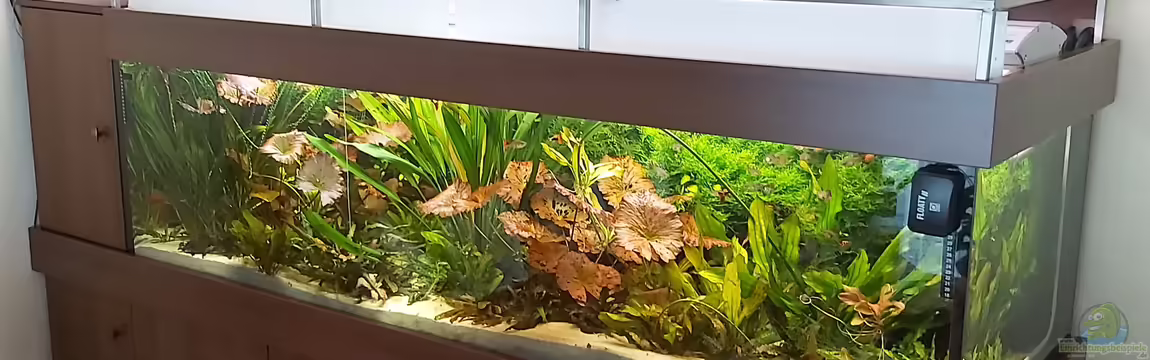 Schaubecken im Wohnzimmer von Frank Krüger
