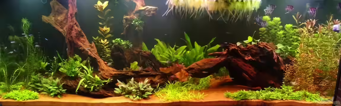 Schöne Aussicht im Wohnzimmer statt Urlaub von Memo