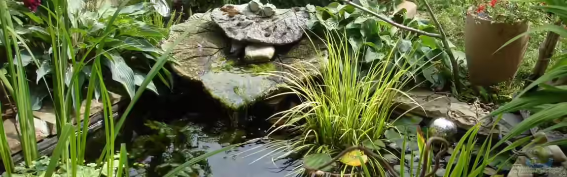 Teich 30736 - Gartenteichlein von Grünhexe