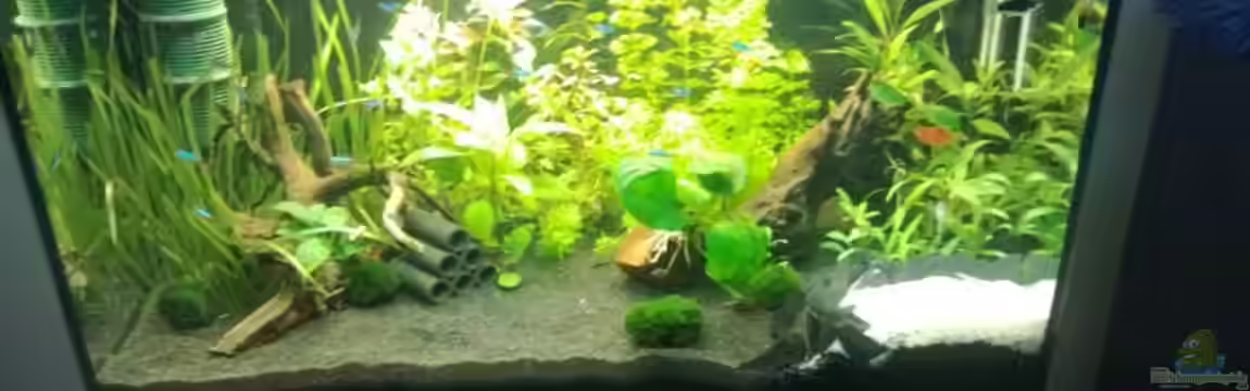 Unser 1. Becken von mari