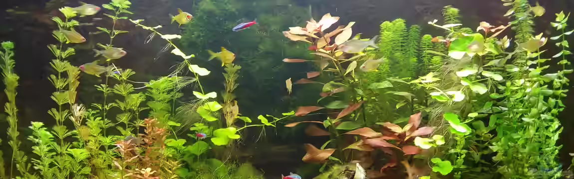 Unterwassertal von Ralf.SOS