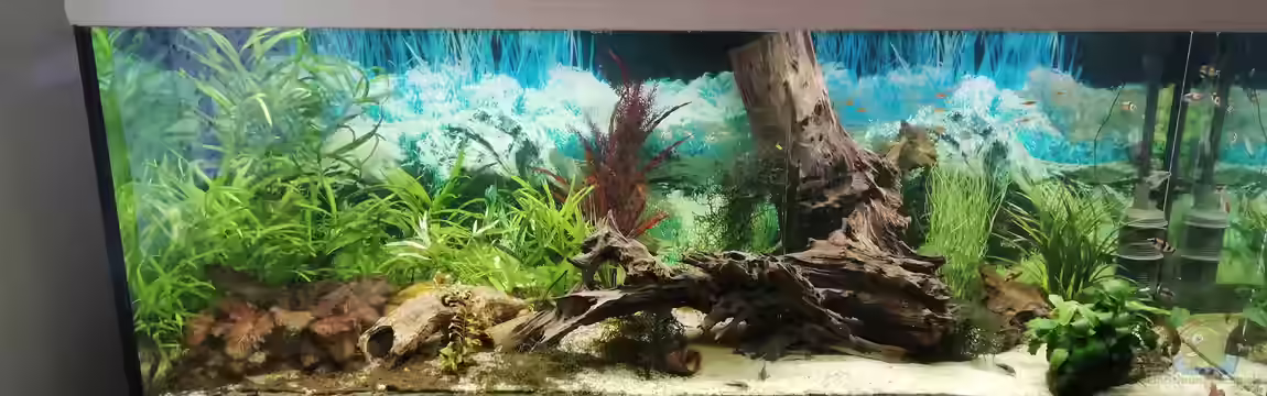 Welsbecken 400Liter von Tanja F.