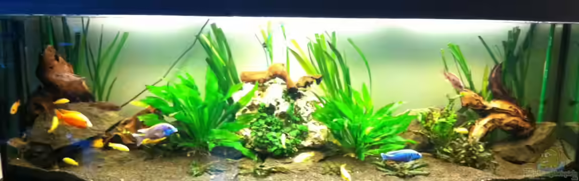 Wohnzimmer von Yejo
