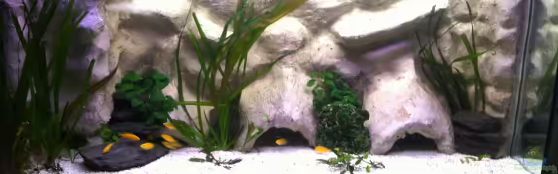 Yellow von Yejo