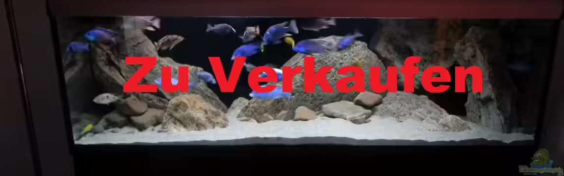 ZU VERKAUFEN OPEN FREE TERRITORY von Sternenseeträumer