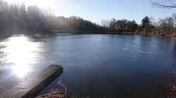 Definition: Teich oder Weiher?