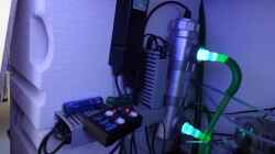 UV-Klärer: Wie oft die Lampe wechseln?