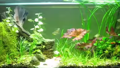 Becken 15322 von Florian Freyer