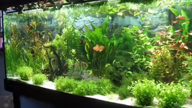 Becken 4891 von Inge Zuber