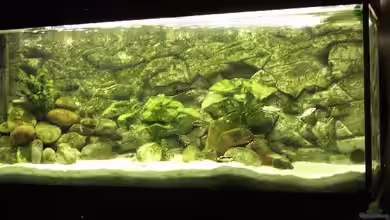Becken 94 von Vivien Hübenbecker