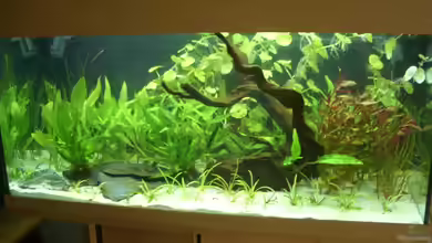 Becken 9404 von Obi