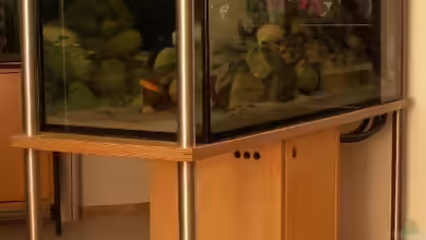 Becken 9505 von Hans Schmucker
